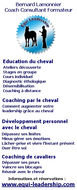 Education �thologique du cheval - Coaching par le cheval