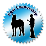 Equi-leadership